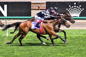 CARNIVAL GLORY ELUDES FARHH FLUNG AGAIN